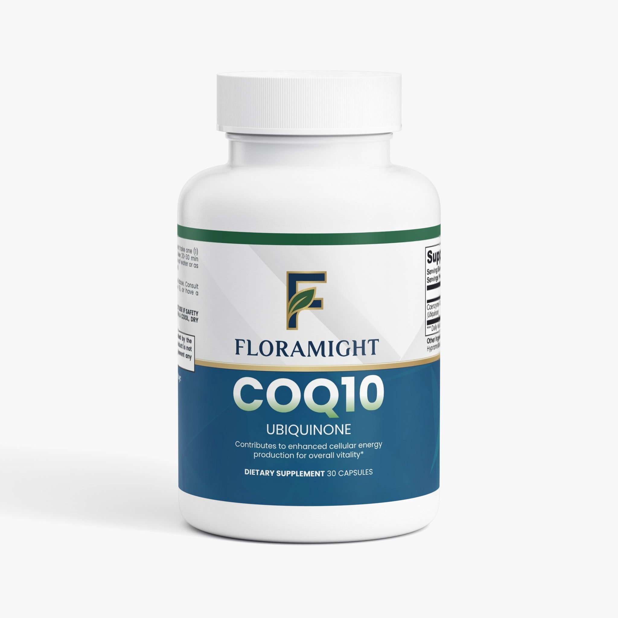 COQ10 UBIQUINONE